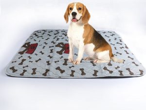 pet pad