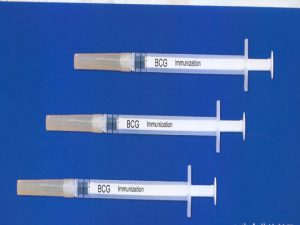 BCG VACCINE SYRINGES